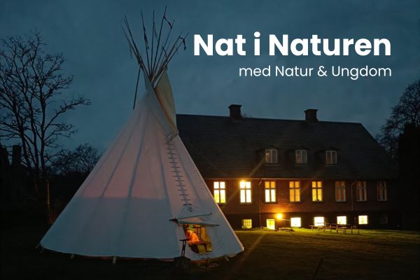 Nat i Naturen med N&U